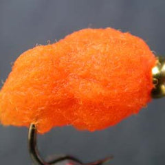 eggstasy-nx-gen-fibre_SARO