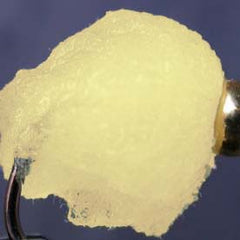 eggstasy-nx-gen-fibre_SWCO