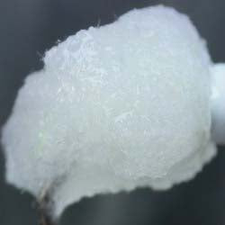 eggstasy-nx-gen-fibre_UVWH