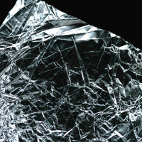 clear-wing_0000