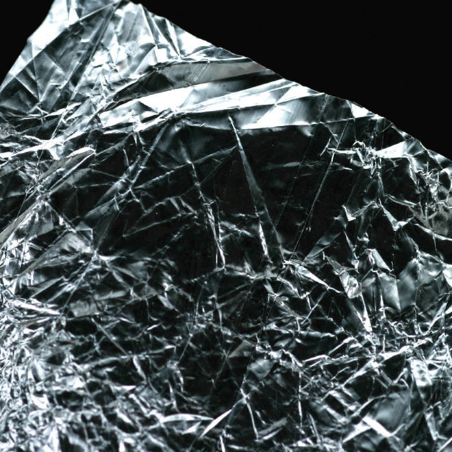 clear-wing_0000