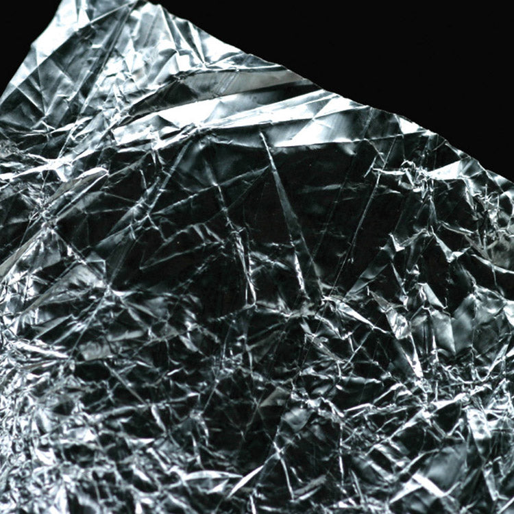 clear-wing_0000