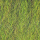 strung-fuzzy-fiber_OLIV