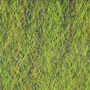 strung-fuzzy-fiber_OLIV