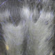 polar-fiber-brush_0GRA