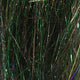 angel-hair_BROL