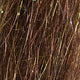 angel-hair_RTBR