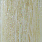 glass minnow