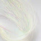 flashabou_PERL