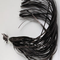 lateral-scale-solid-colors_BLCK