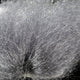 saltwater-ghost-hair_GRAY