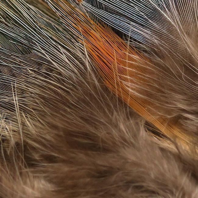 Strung Ringneck Rump Feathers