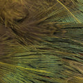 Strung Ringneck Rump Feathers