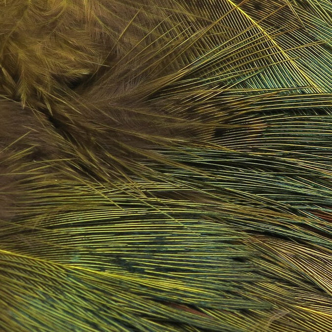 Strung Ringneck Rump Feathers