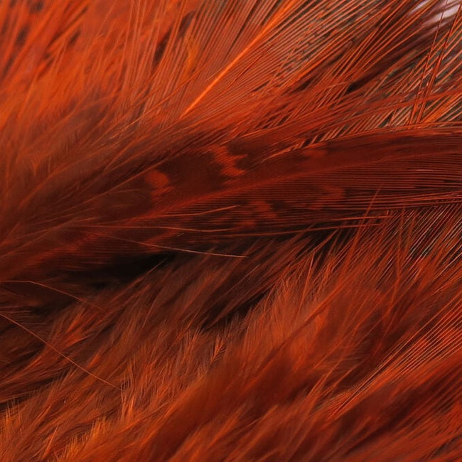 Strung Ringneck Rump Feathers