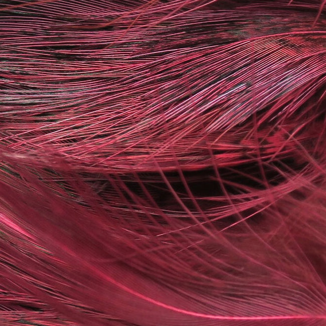 Strung Ringneck Rump Feathers