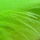 Select-Goose-Shoulder