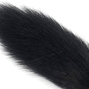 Siberian-Grey-Squirrel-4