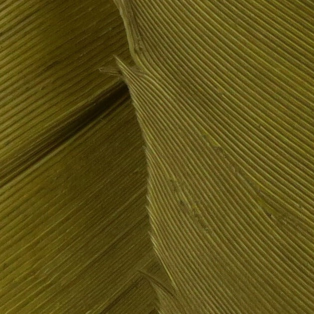 TBQ263