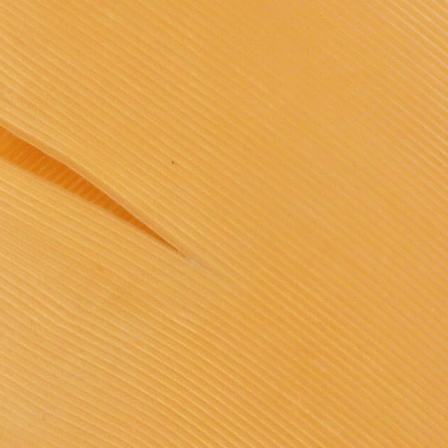 Turkey Biot Quills