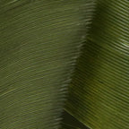 dark olive