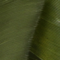 TBQ95