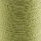olive B14