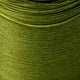 olive PC3