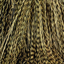 Tan_369_1024x1024_6d58630b-6fe2-4b74-ae3a-98f99bf4