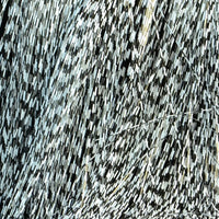 White_377_1024x1024_b76d05a8-e25f-45f2-840e-a0319d