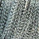 White_377_1024x1024_b76d05a8-e25f-45f2-840e-a0319d