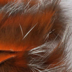 crawfish orange / silver shimmer
