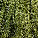 Yellow_383_1024x1024_6892fe72-92f5-452f-9847-bebf4