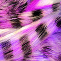 Black Barred Groovy Bunny Strips