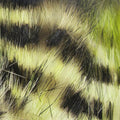 Black Barred Groovy Bunny Strips