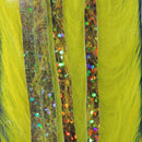 bls383g_8810195f-f4cb-4601-98d5-bc5e848ccb49