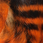 hot orange