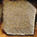 cbd1_c4a79d29-75d6-4068-a963-cff5e675bf7e