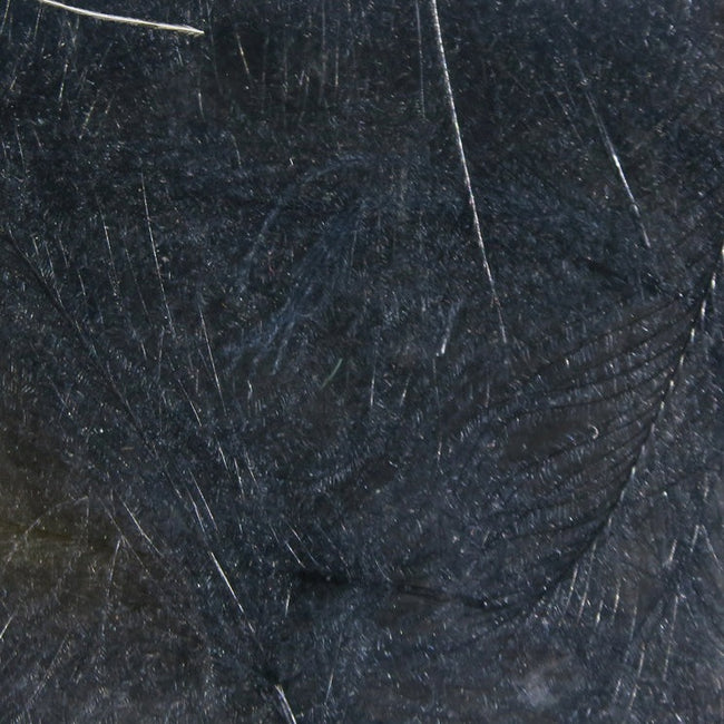 Cul de Canard Feathers
