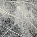 Cul de Canard Feathers