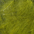 Cul de Canard Feathers
