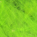 Cul de Canard Feathers