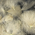 Cul de Canard Feathers