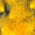 Cul de Canard Feathers
