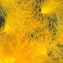 cdco365_e5e76438-5a15-40ad-8f00-63d6e8fc7265