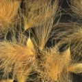 Cul de Canard Feathers