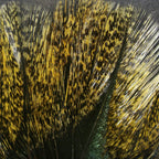 medium (medio)