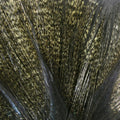 Coq de Leon