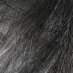 Charcoal (Mouse Gray)