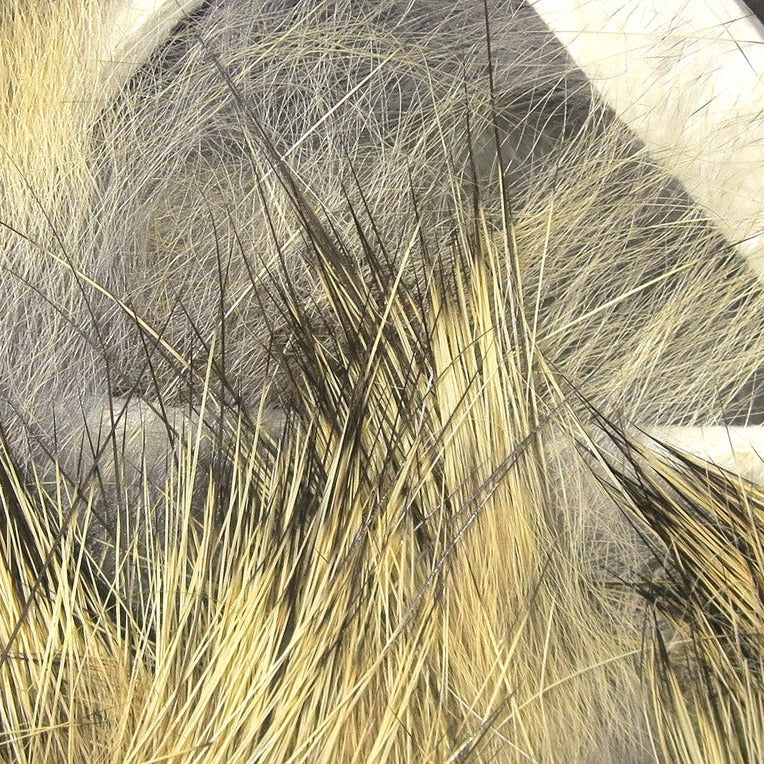 crs247